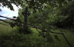 nathanrochford:  Abandoned Irish cemetery