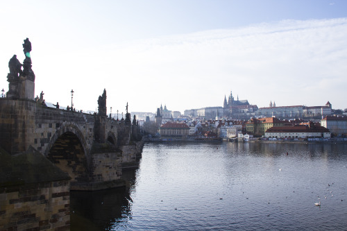  Charles Bridge -Prague-