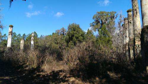 destroyed-and-abandoned:All that remains of the Verdura Plantation after a fire in 1890. Tallahassee
