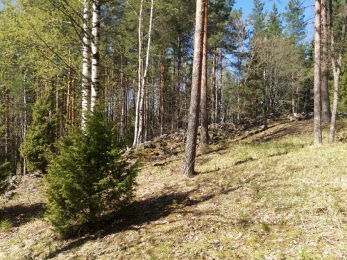 Rapola Hill Fort (Finland)Hill forts or “castles” were places were people took refuge during a time 