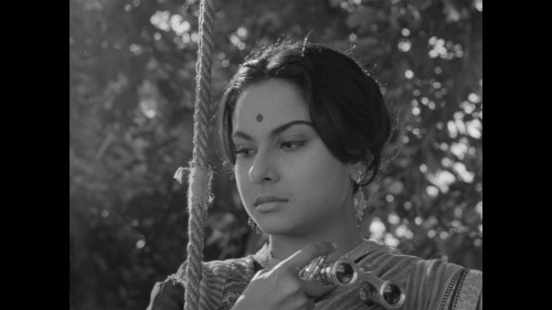 Charulata (1964)