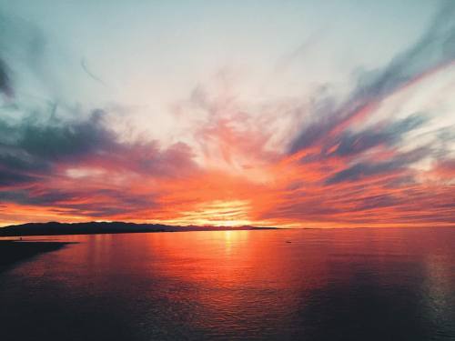 call for my bones (at Parksville, British Columbia)https://www.instagram.com/p/BosuJcuDC3N/?utm_sour