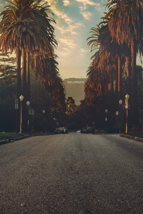 travelthisworld:  Hollywood Symmetry Los Angeles, California, USA | by Aleks Ivic 