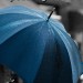 unacaritafeliz:Image ID: A navy umbrella on a black and white background, accompanied