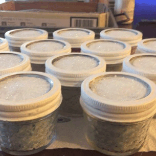 Sprinkle Jar Craft