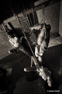 strictly-dirtyvonp:  amaury-grisel-shibari: