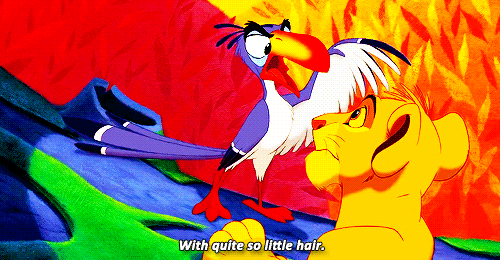 disneyroyalty:Top 10 ‘The Lion King’ Characters (as voted by my followers):#8. Zazu - The Lion King 