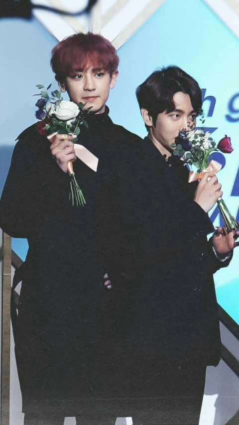 Look At Them Cuties