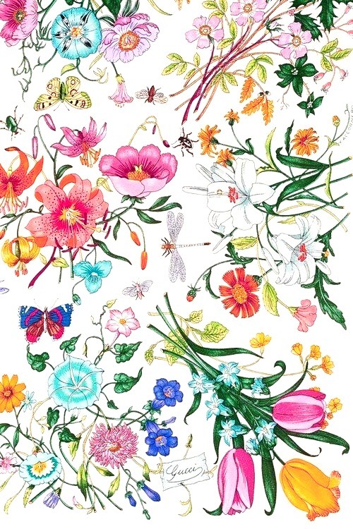 widit:  Tulip &amp; Roses // Requested  I DON’T OWN OR TAKE ANY CREDIT FOR