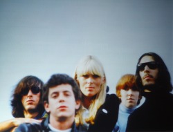 themaninthegreenshirt:  The Velvet Underground