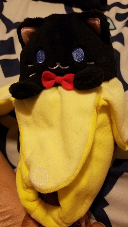 Meet my stuffie Bananacat. He’s the cutest cat I’ve ever seen. I tell him everything.