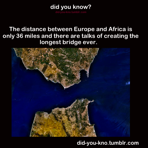 did-you-kno:  Source