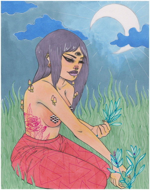 sarahcatface:  Picking Sage by Catface