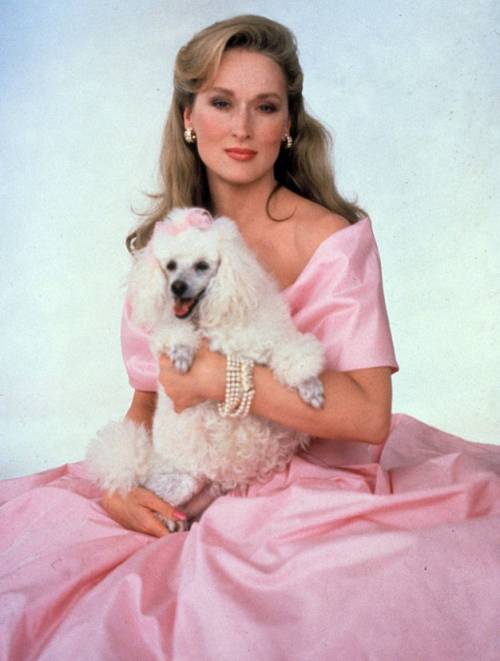 Meryl Streep and her poodle whilst filming She-Devil, by Susan Seidelman in 1989