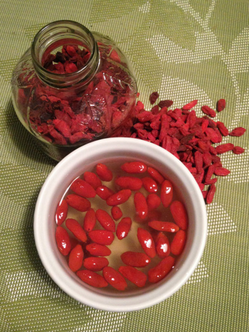 hqcreations:Growing Goji BerriesHoly crap. I can’t believe it worked. I had a bag of dried goji berr