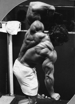 mitos:  Mike Mentzer 