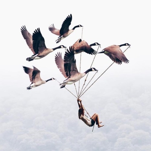 artmania-feed: Surreal Dreamy Photography by 18 Year Old Photographer Luisa Azevedo  Keep 