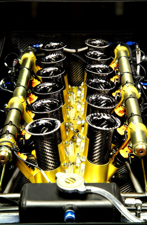 beautifullyengineered:Lamborghini Murciélago R-GT Engine