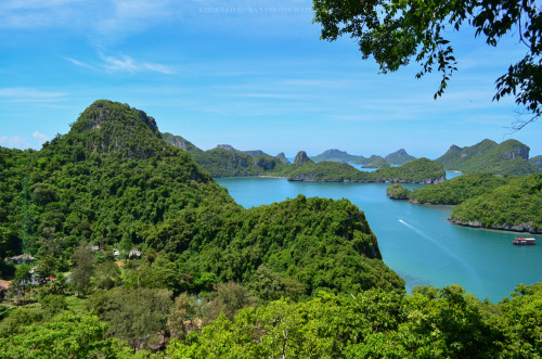 romanophoto:Koh Samui, Thailand #9photo by Kirienko Roman (romanophoto.tumblr.com)While i’m trying t