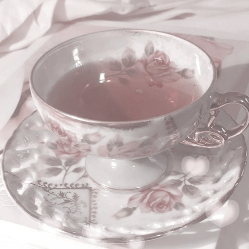 |｡･㉨･)っ♡ 𝙘𝙪𝙩𝙚 𝙜𝙞𝙧𝙡. 