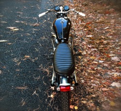 caferacerpasion:  Triumph TR6 Brat Style