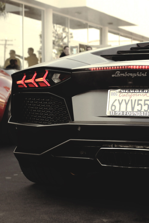 artoftheautomobile:  Lamborghini Aventador via LamboNB
