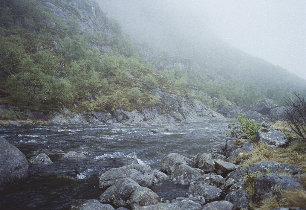 jacindaelena:   Frederik Floor 
