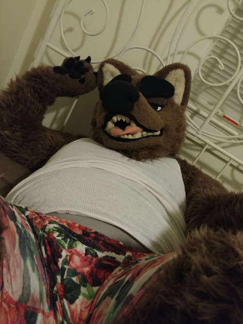 stickyfur:Tum