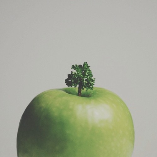 parsley on apple stem / tree on hill