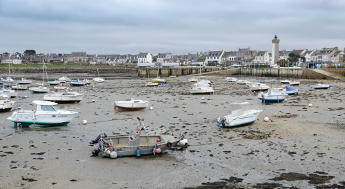                             Mais où est partie la mer ?