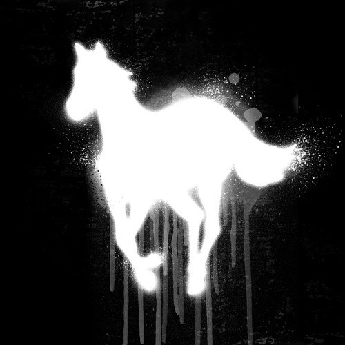 XXX WHITE PONY photo