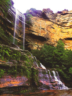 natvrist:  Katoomba Falls middle drop. Taken by Patographicsplease do not remove credit of Patographics xo