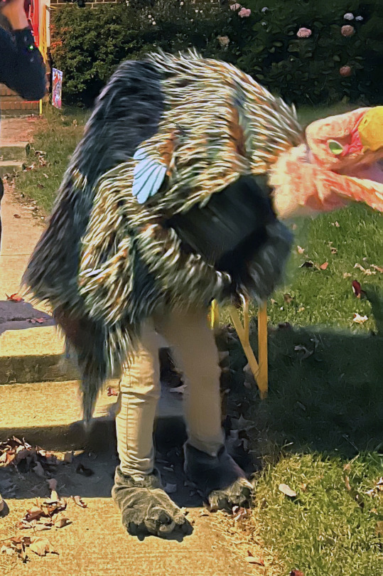 Gerald facing right