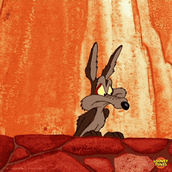 I remember watching these cartoons as a child and feeling bad for the coyote while being annoyed with the road runner. Yet now as I stare at this gif I wonder if I was too young to get the subtle adult undertones. Perhaps I should go back and watch them