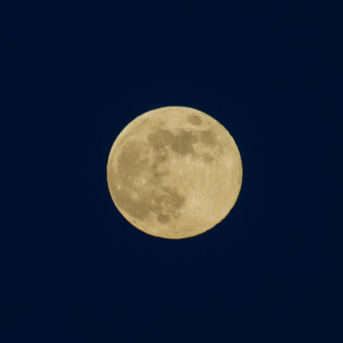 The beautiful full moon in Tulit'a, Northwest Territories, Canada.