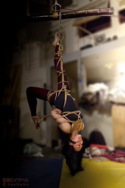 kinbakunokaiji:Model Isshtar, Kinbaku &amp; photo Hanikamu.