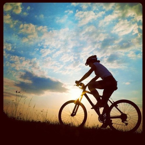 anabellaus:  #bicycle #bike #journey #sunset #sunrise #sky #photography #silhouette #beauty #sun #cy
