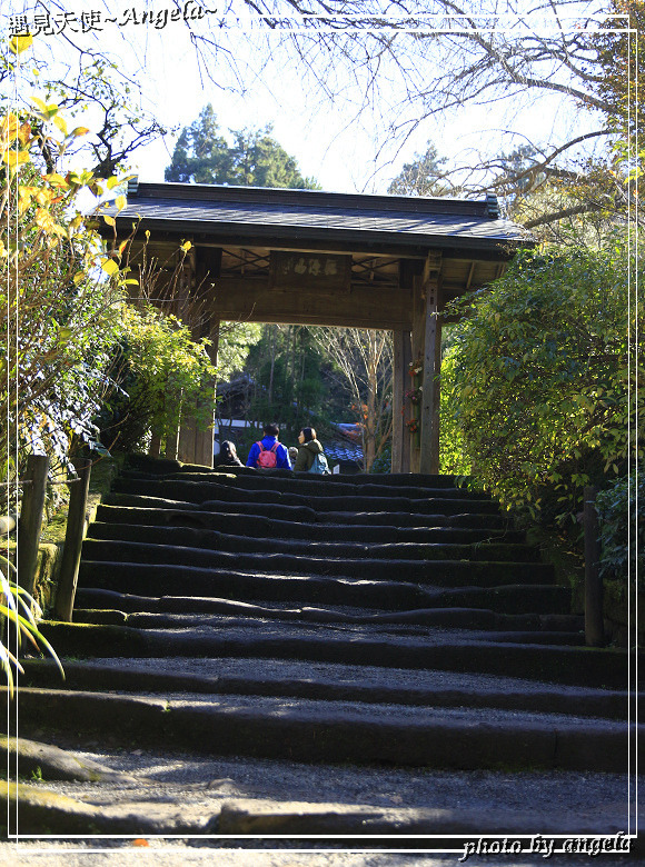 Angela 愛旅行 東京近郊賞楓 北鎌倉明月院紅葉 Angela 愛旅行 東京近郊賞楓 北鎌倉明月院紅葉