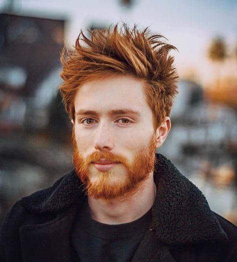 Reds-and-gingers