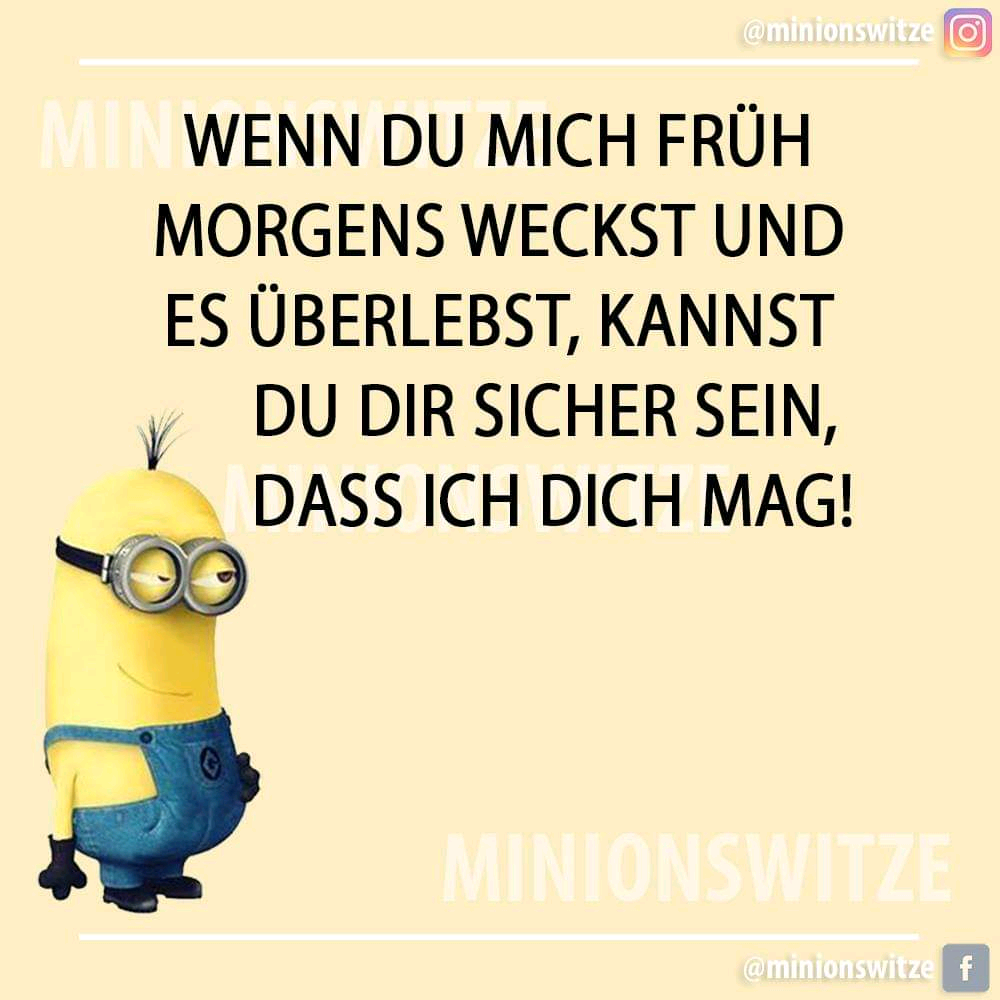 Ich hasse dich sprüche tumblr