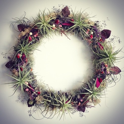 ✨ A day filled with creations. #happiness #airplant #wreath #fall #love #robincharlotte #inthestudio