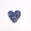 blueberry-rose