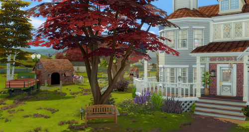 Stefy-sim’s new farm! I tried a little the new expansion and I have to say I really like 
