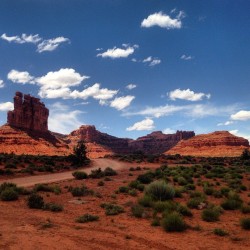 afemalesolotraveler:  Valley of the Gods. No filter, this shit is fo real 