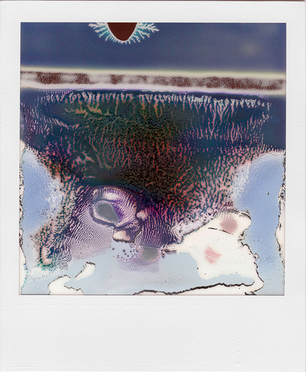 nevver:  Polaroids, William Miller