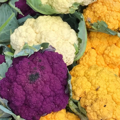Multicolored Cauliflower, Oak Marr Farmers Market, Fairfax, 2017.
