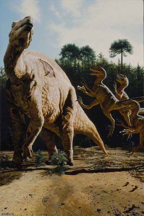 tyrantisterror:These deinonychuses look like they’re really excited to tell the tenotosaurus s