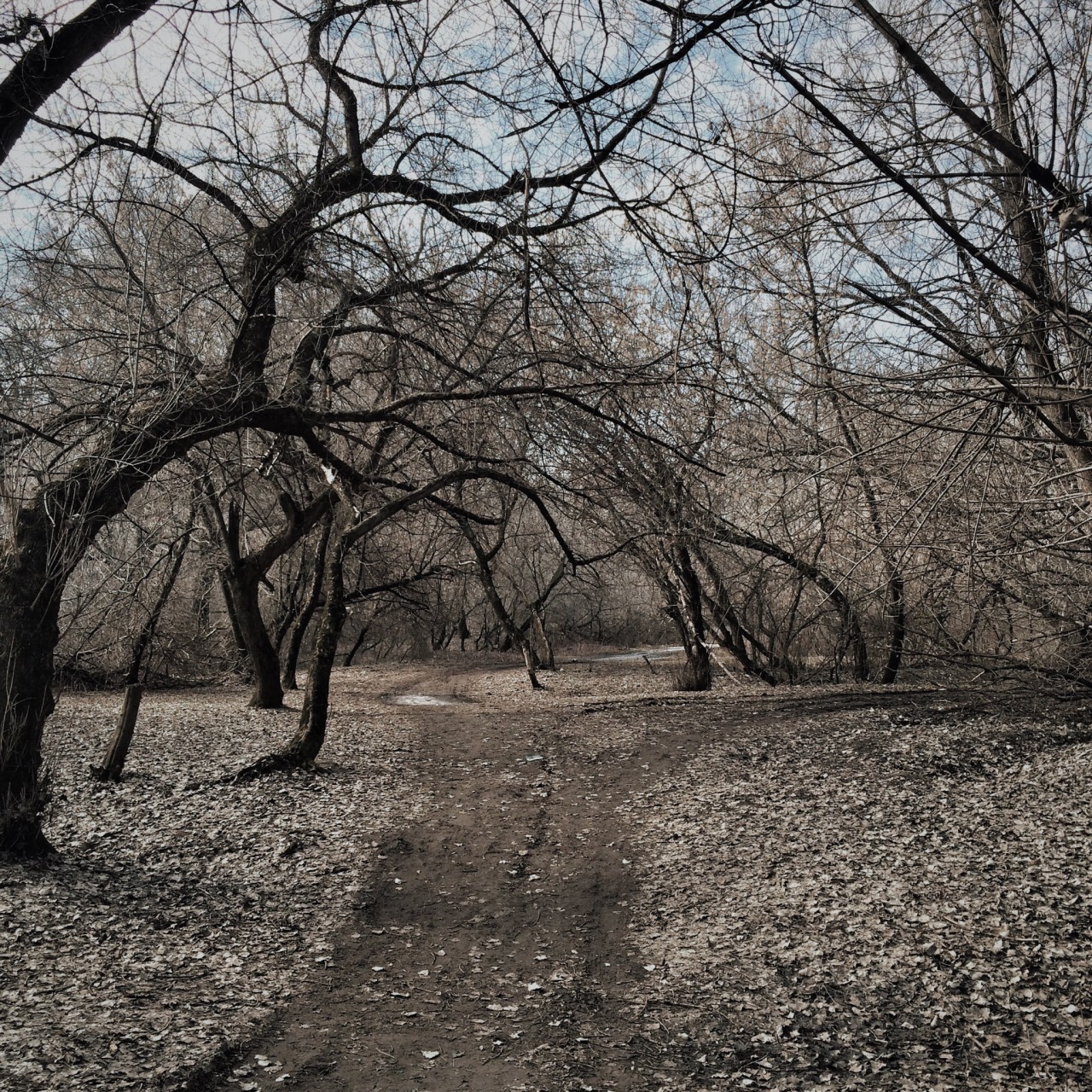 danielodowd:  http://sergeymoroz.vsco.co/
