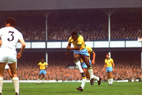 africansouljah:Pele - 1966 World Cup