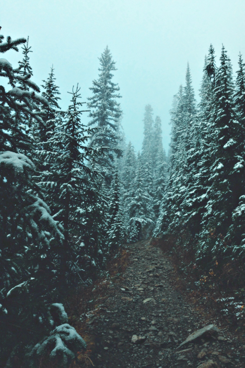 expressions-of-nature: by Jessie Altura